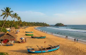 Tropical palm trees along Goa coastline
