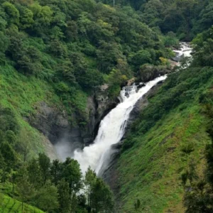 Attukal Waterfall Munnar surrounded by lush green forest — a hidden gem among Munnar places to visit