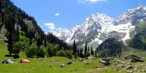 Beautiful landscape view of Sonmarg Kashmir surrounded by snow-capped mountains and green valleys 