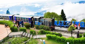 Darjeeling toy train passing through hills and tea gardens