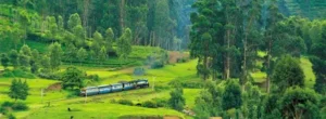 Best places to visit in Ooty India – Nilgiri toy train scenic view